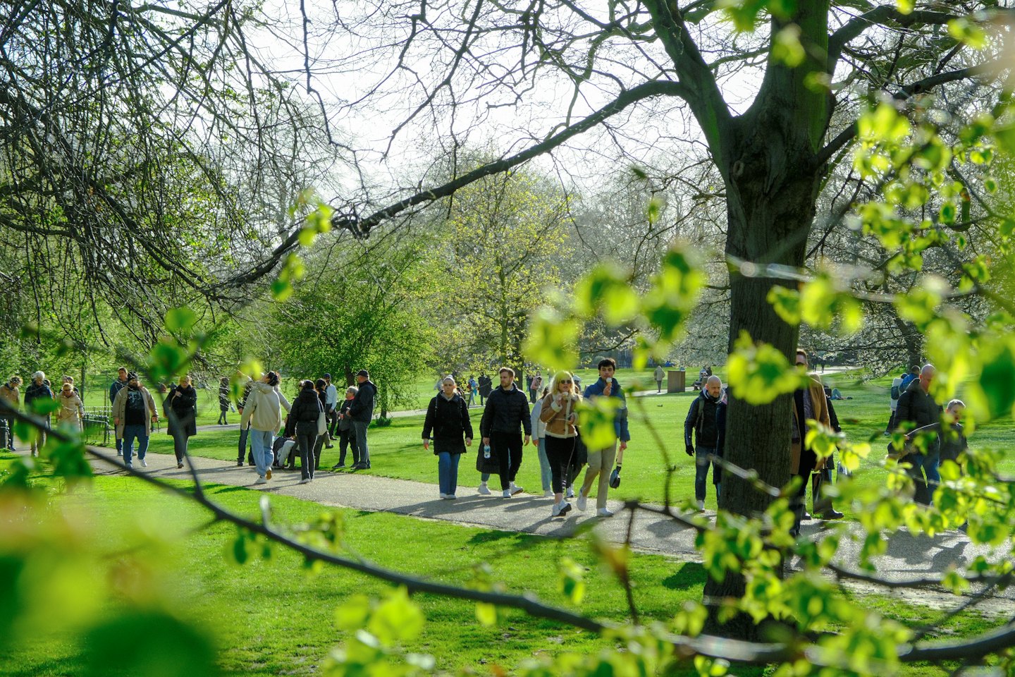 People walking along a paved path in a public park.